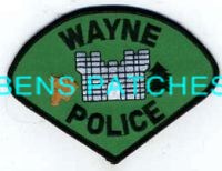 ILLINOIS,WAYNE POLICE 3_wm